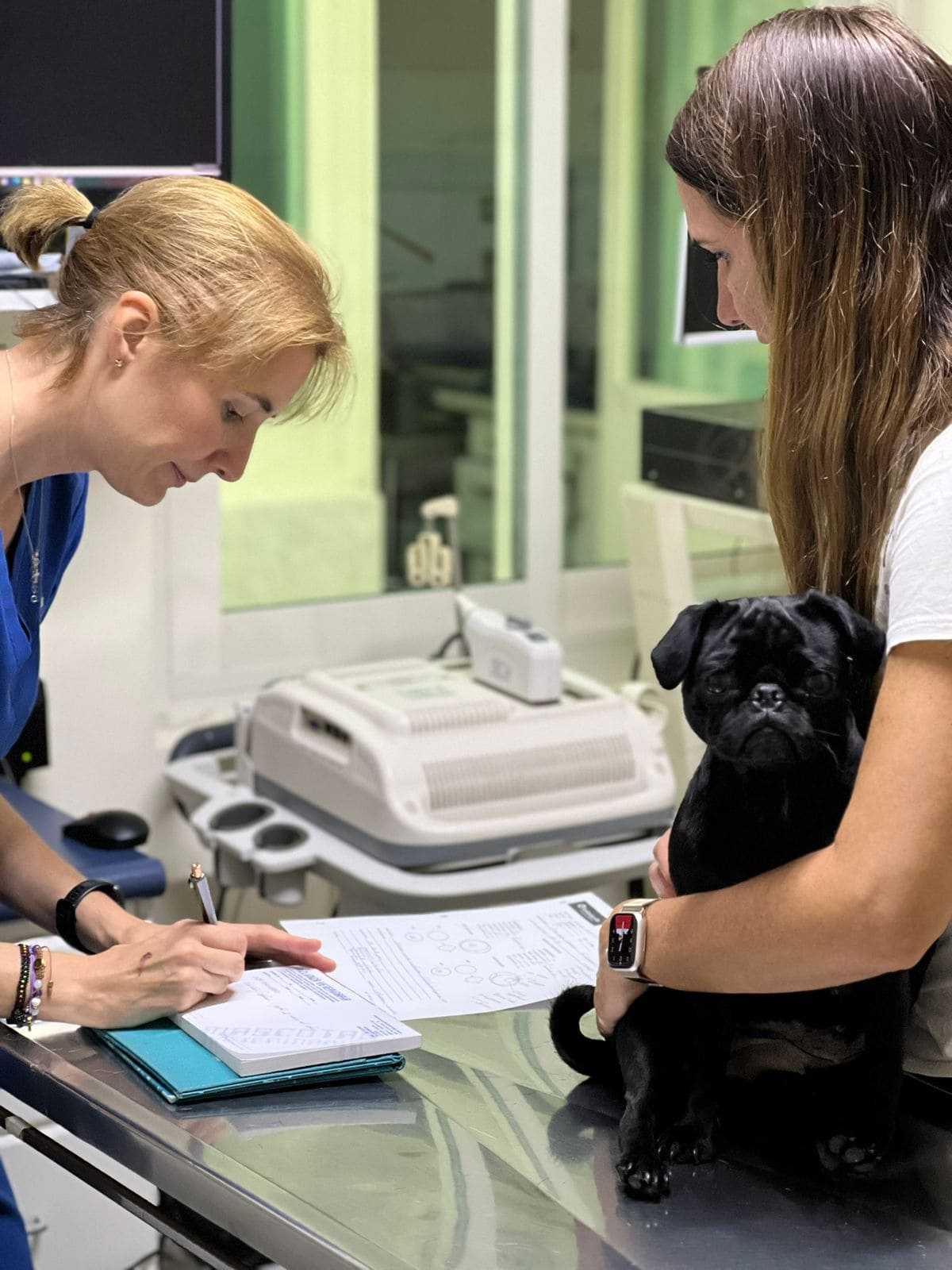 oftalmologia veterinaria